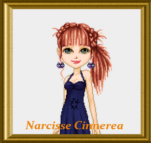 Narcisse Cinnerea